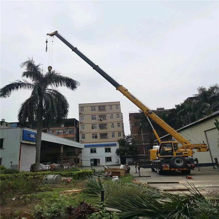 临武汽车吊出租多少钱？全面解析与市场行情